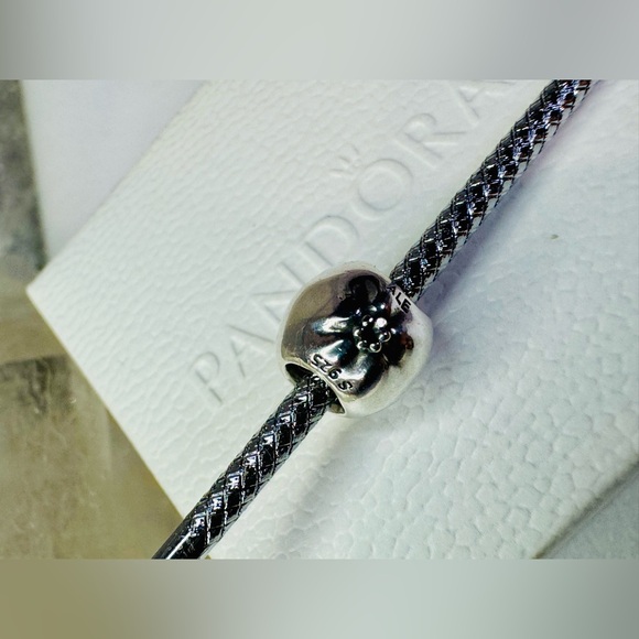 Authentic Retired Pandora Apple of My Eye Two Tone 14k & S925 Ale Charm - Picture 5 of 14